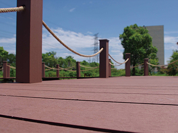 奮勇創(chuàng)新 沖天而舞