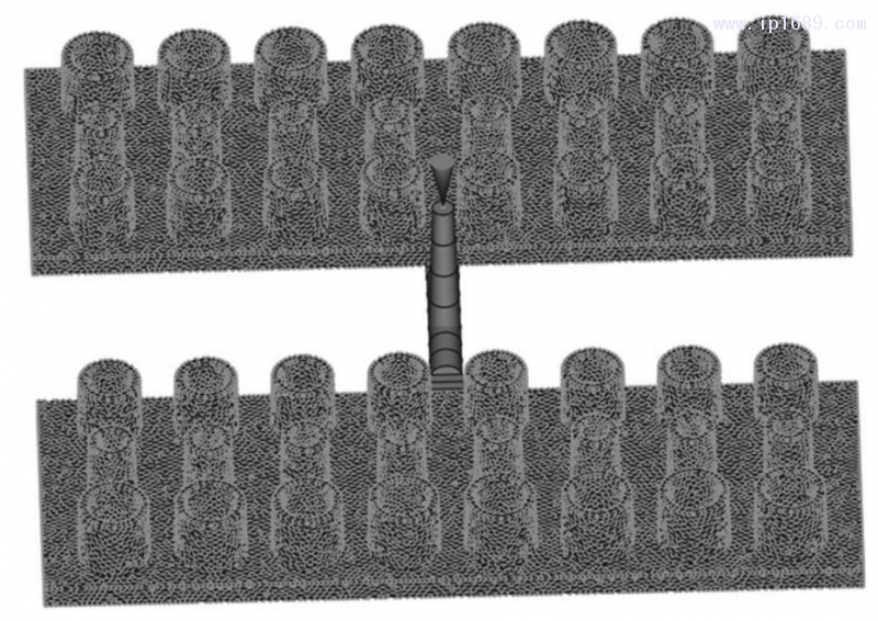 圖 2　網格劃分結果