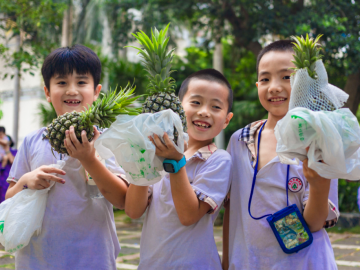 趨勢(shì)越發(fā)明顯  有何新解讀？